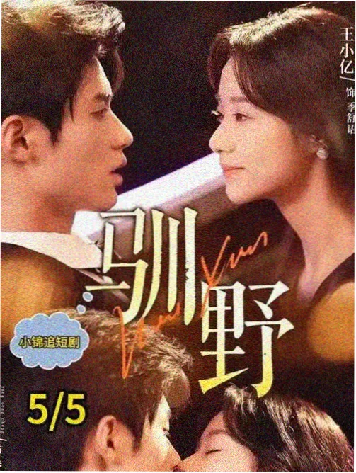 长夜将明悬疑剧海报